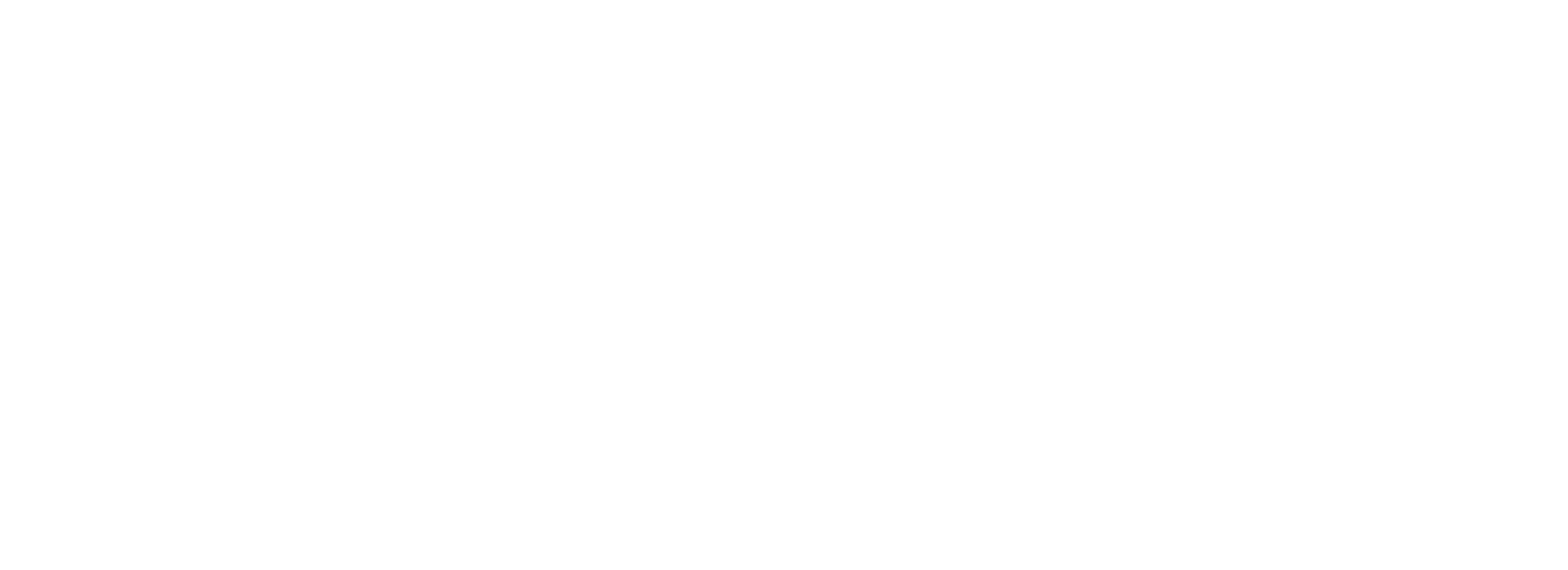 No Limit INC.