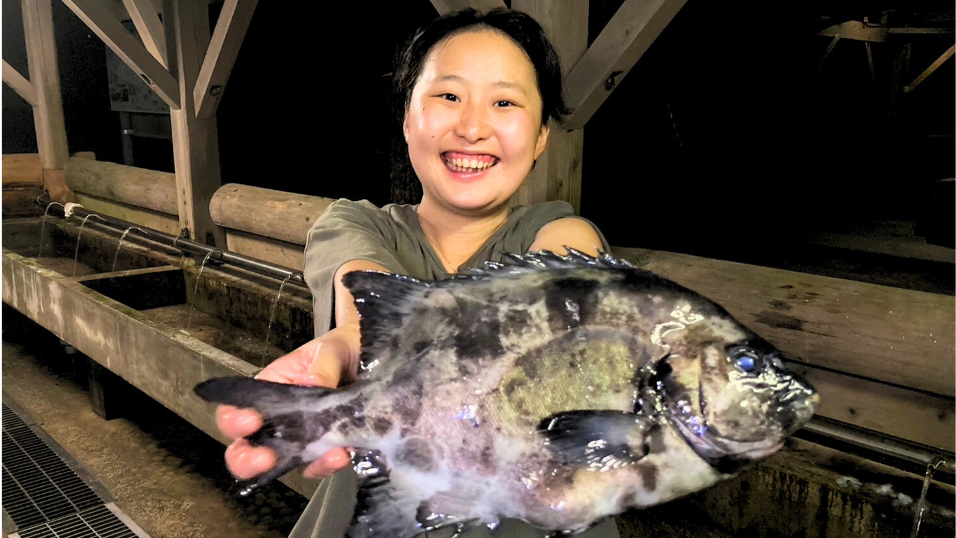 西表島の様子4