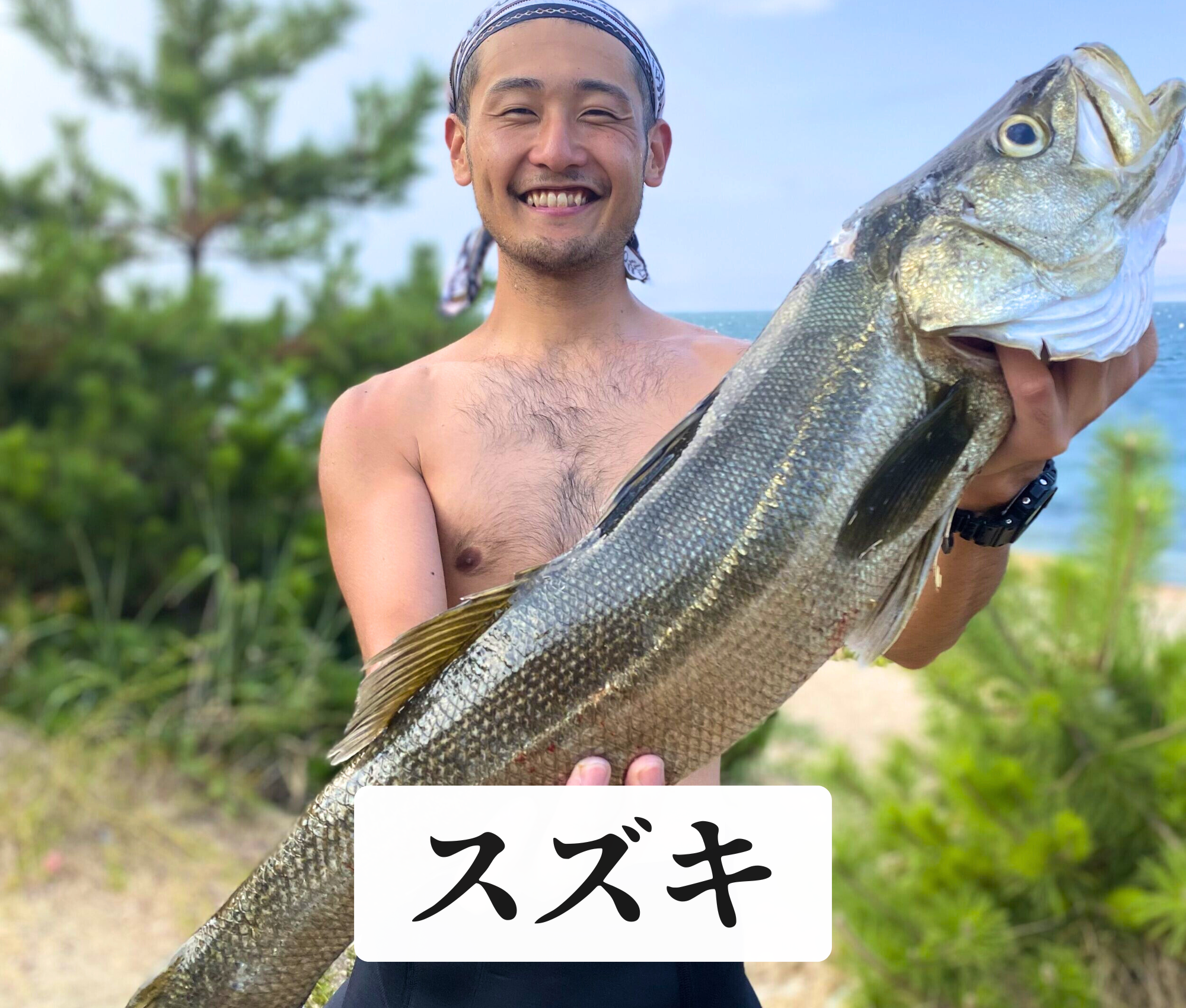 スズキ