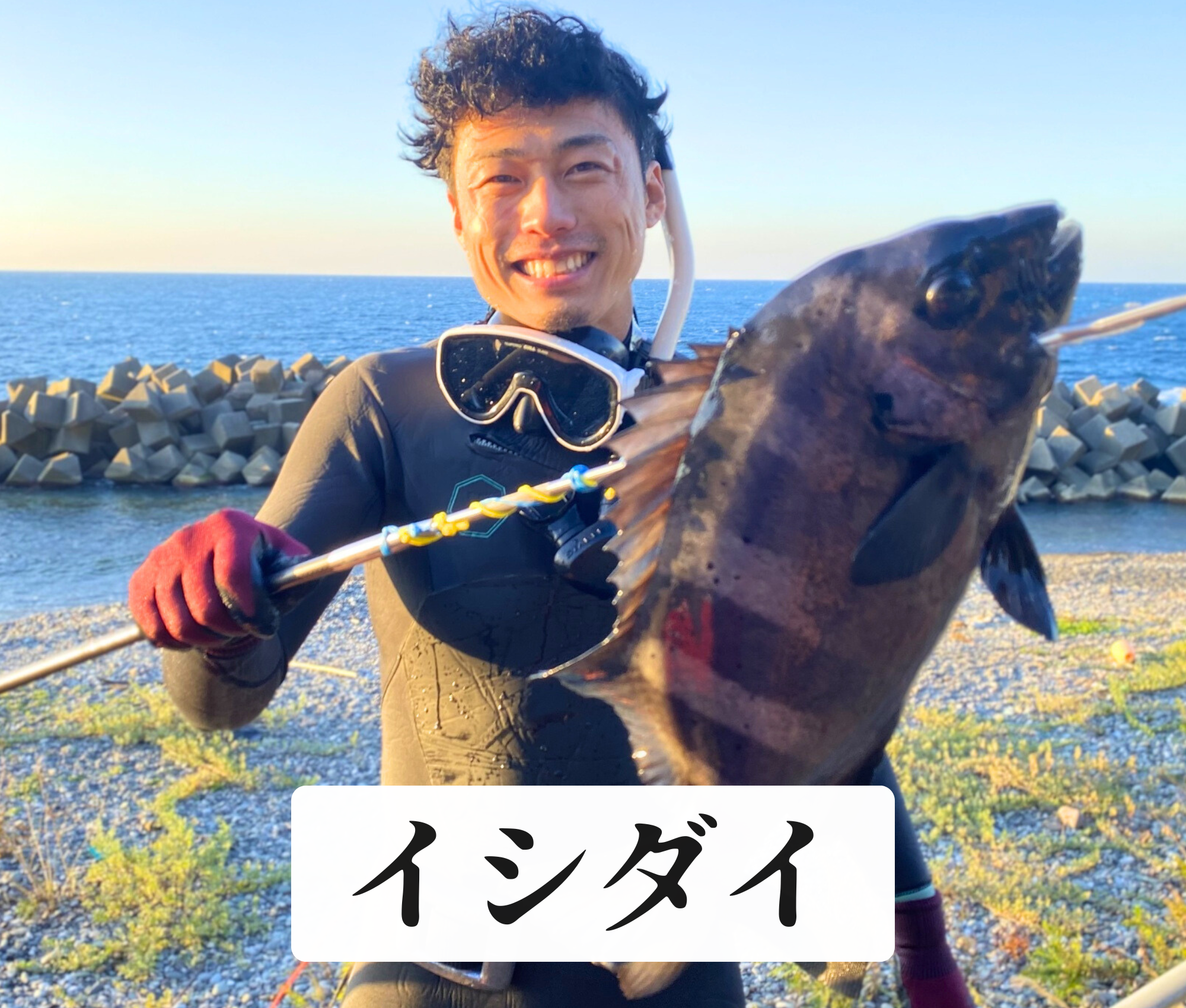 イシダイ