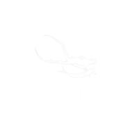revive