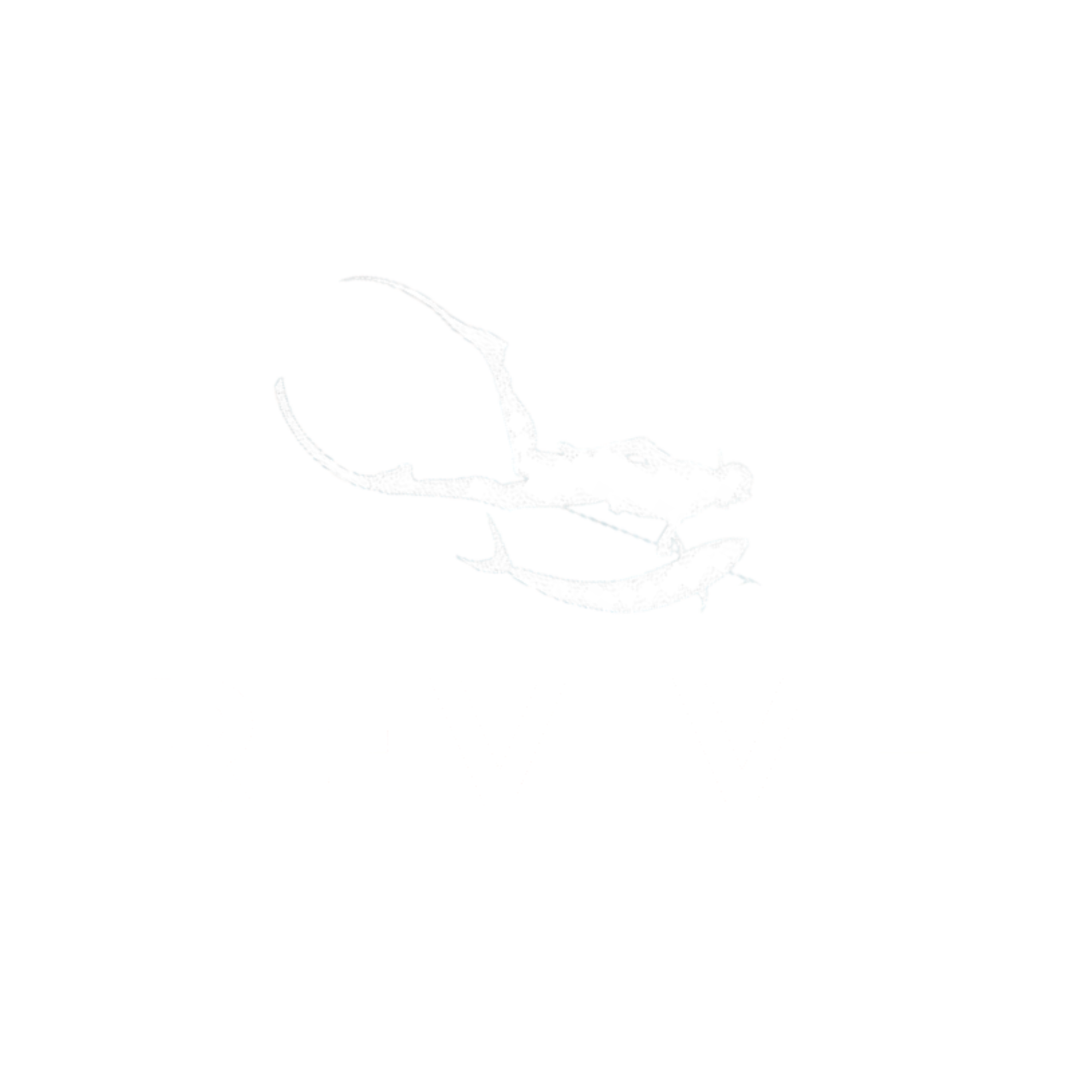 REVIVE